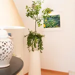 Hotel Royal Prisco Positano