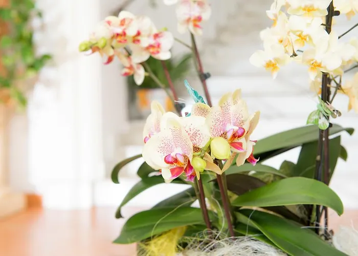 Hotell Royal Prisco Positano